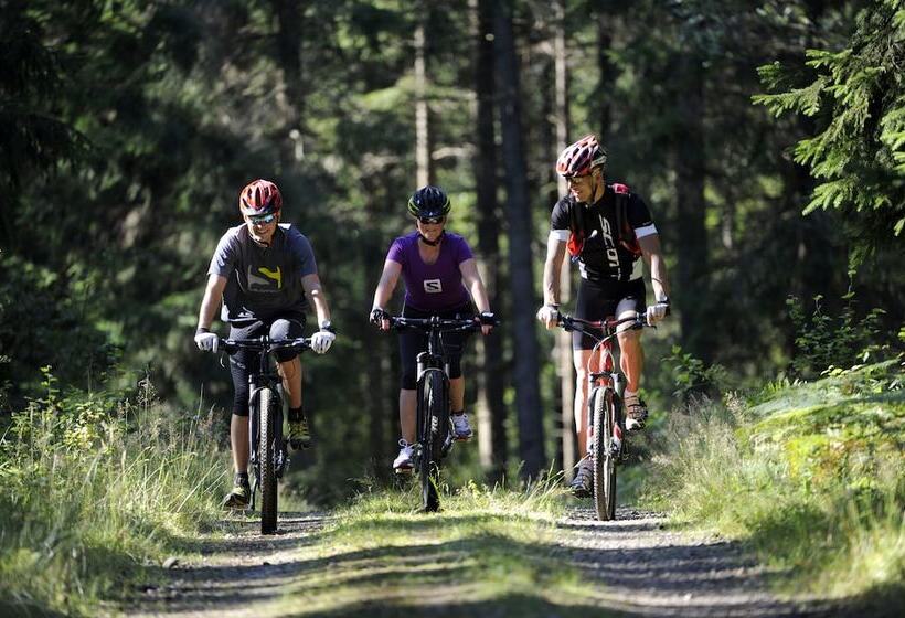 호텔 öijared Resort