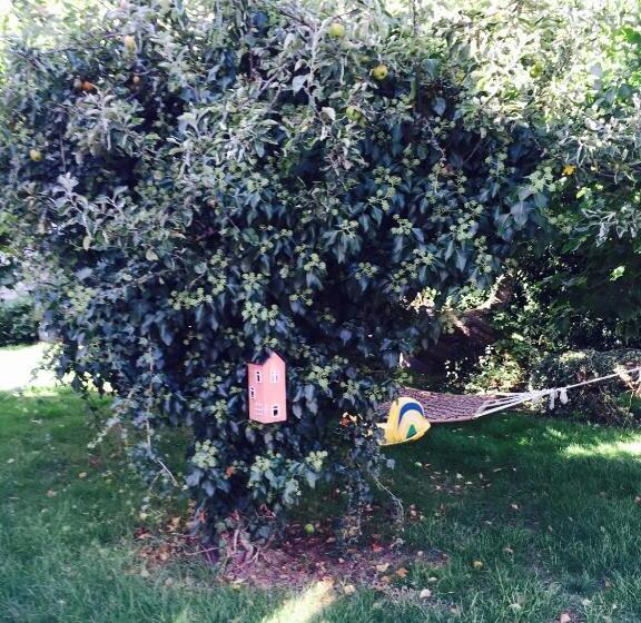 Mullbärsgården Bed & Breakfast