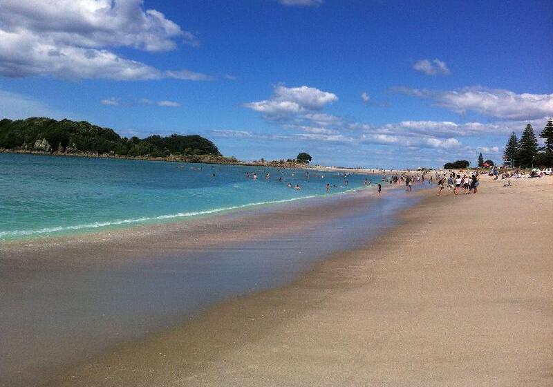 הוסטל Mount Backpackers