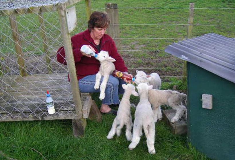 민박 A Panoramic Country Homestay