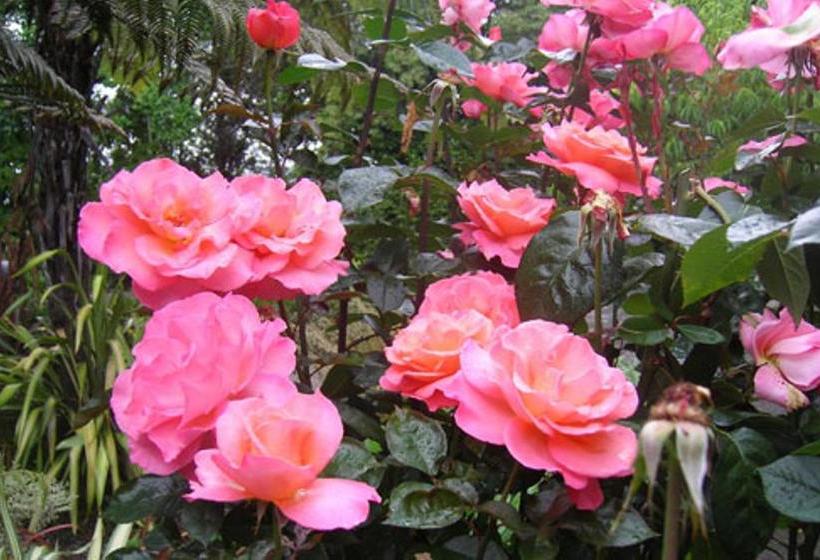 민박 A Panoramic Country Homestay