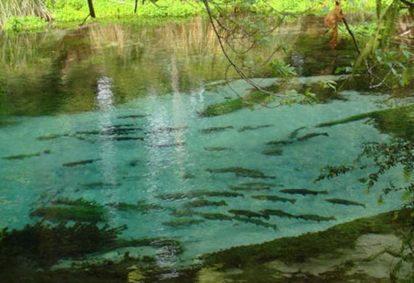 민박 A Panoramic Country Homestay