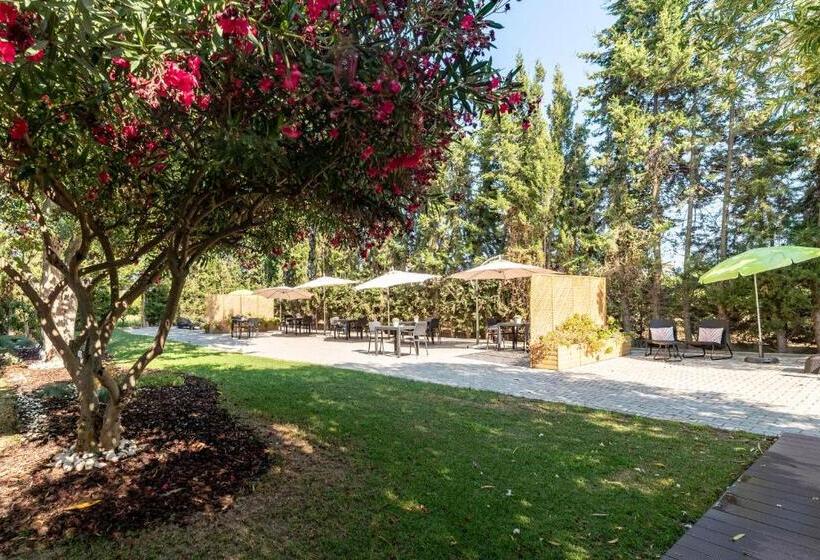 تختخواب و صبحانه Manta Guest