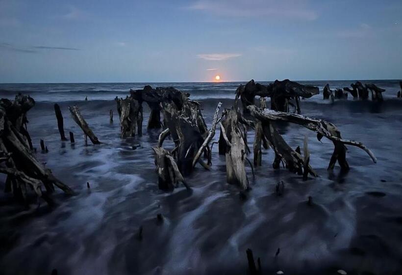 צימר Summerspring Beachfront Accommodation