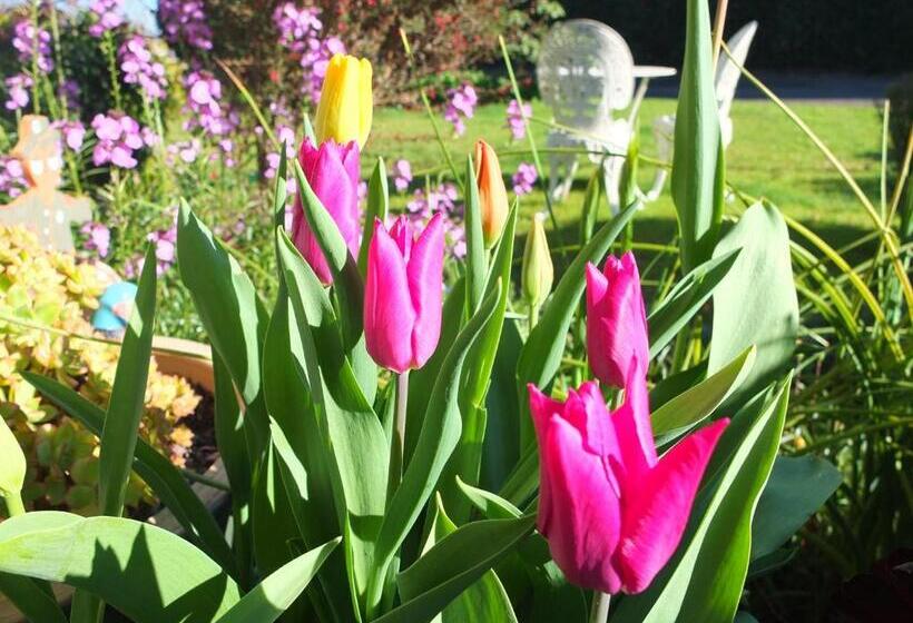 Colonial Court Motel