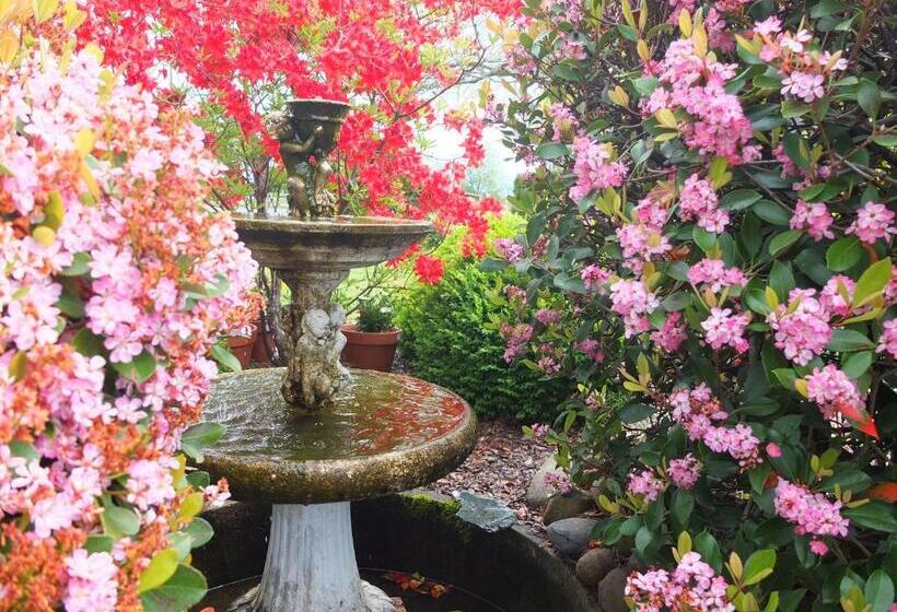 Colonial Court Motel