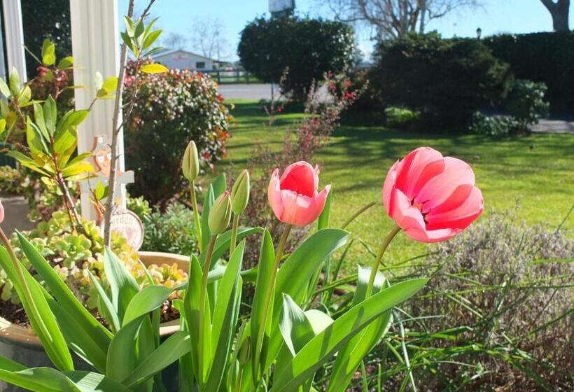 Colonial Court Motel