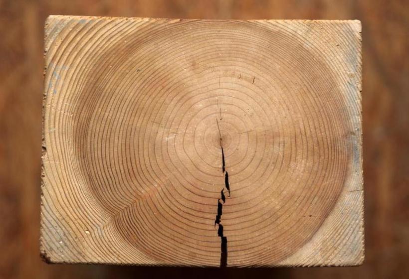 Marina Lounge Hostel