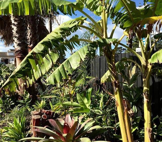 فندق على الطريق Orewa Beachcomber