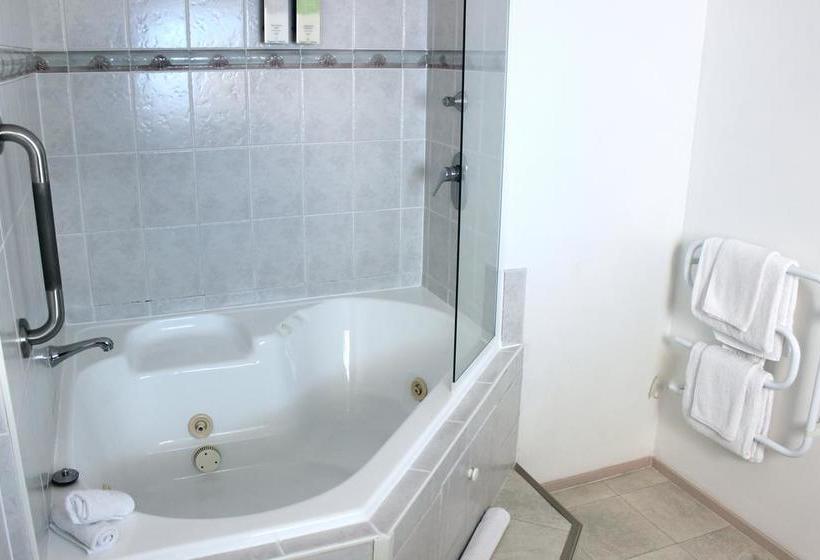 فندق على الطريق Orewa Beachcomber