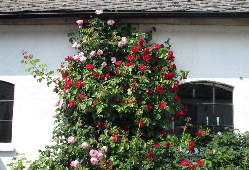 Rävåkra Bed & Breakfast
