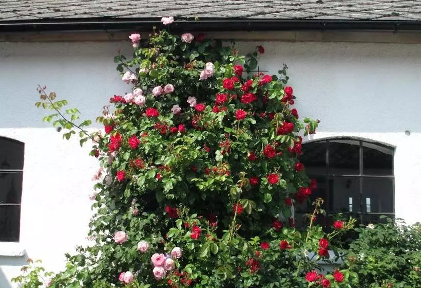 Rävåkra Bed & Breakfast