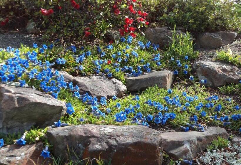 Tailor Made Tekapo Accommodation   Hostel