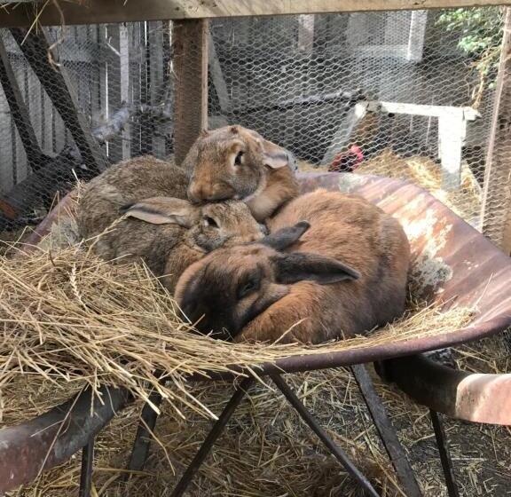 Tailor Made Tekapo Accommodation   Hostel