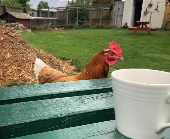 Tailor Made Tekapo Accommodation   Hostel