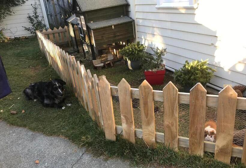 Tailor Made Tekapo Accommodation   Hostel