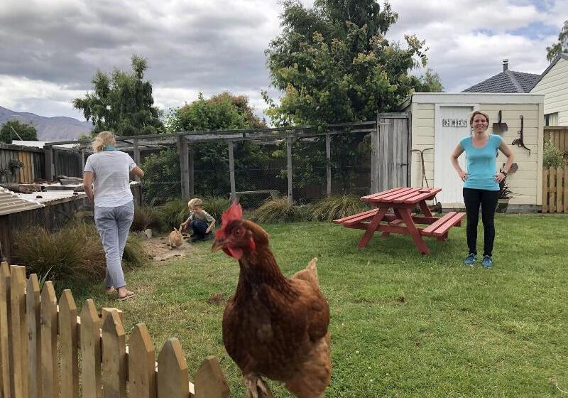 Tailor Made Tekapo Accommodation   Hostel