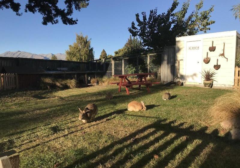 Tailor Made Tekapo Accommodation   Hostel