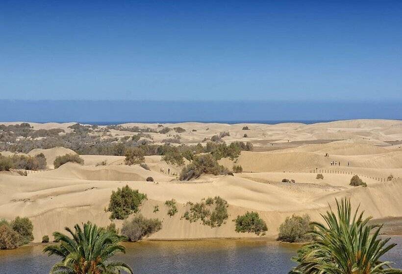 Apartamentos Cocoteros