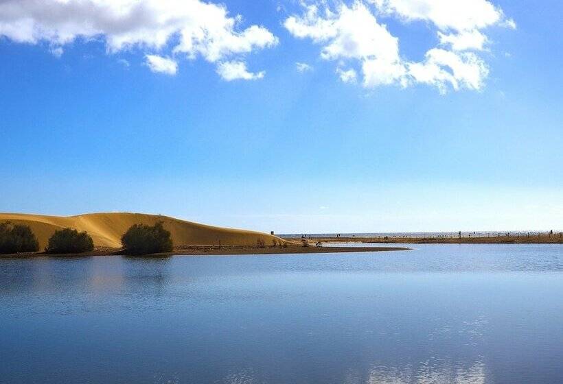 Apartamentos Cocoteros