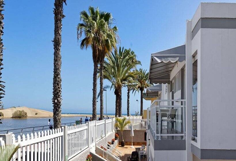 Apartamentos Cocoteros