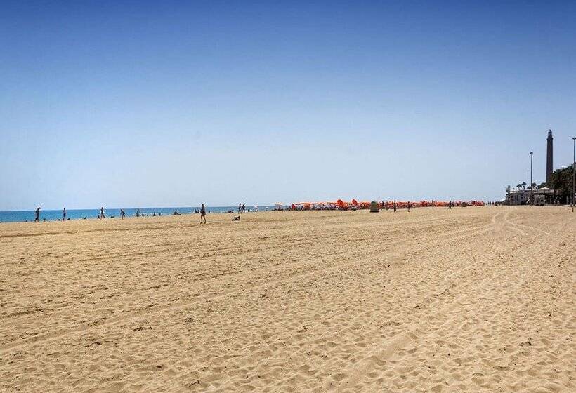 Apartamentos Cocoteros