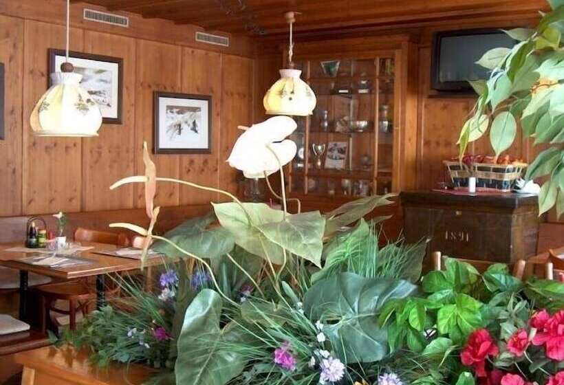 Общежитие Gasthaus Skiklub