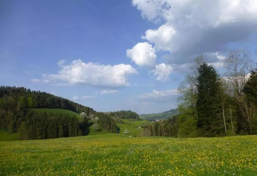 B&b Winzenberg