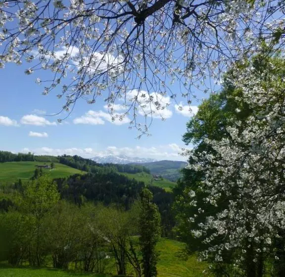 B&b Winzenberg