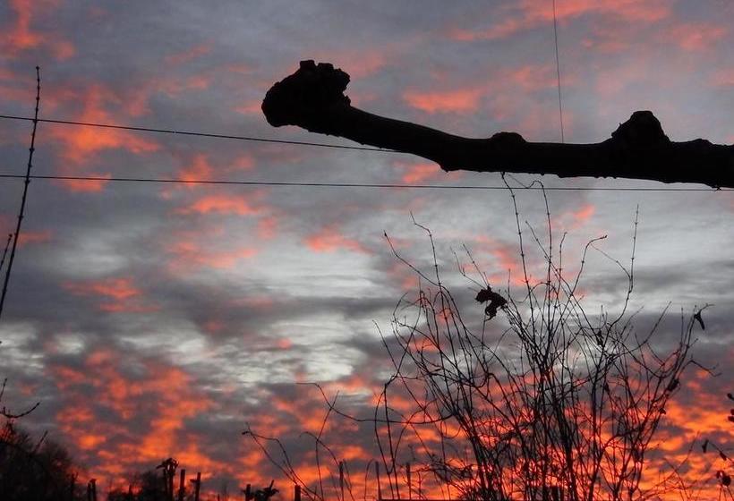 住宿加早餐  Haus Erika Am Weg