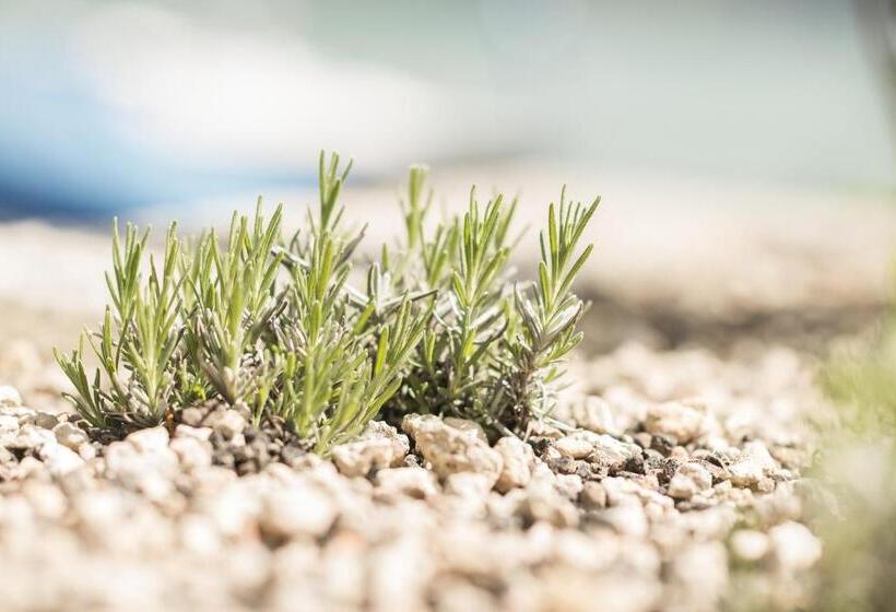 Boutique Hotel Riviera