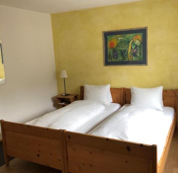 Hotel Adler Garni