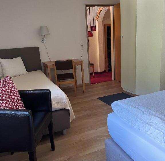 Hotel Adler Garni
