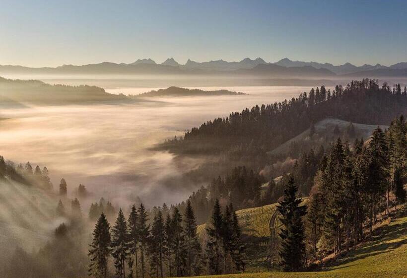 酒店 Restaurant Koi Gartenteich