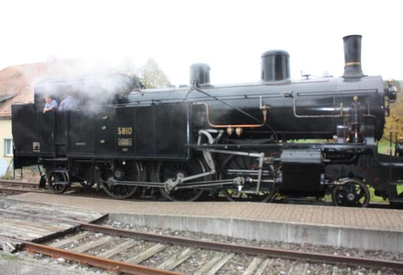 酒店 Restaurant Koi Gartenteich