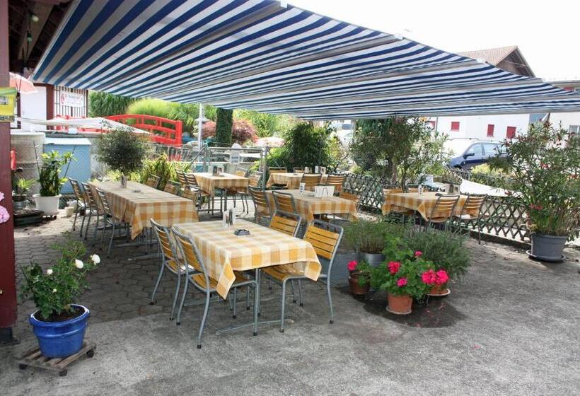 酒店 Restaurant Koi Gartenteich