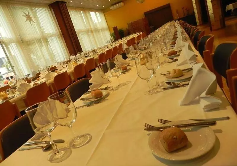 Hotel Zys