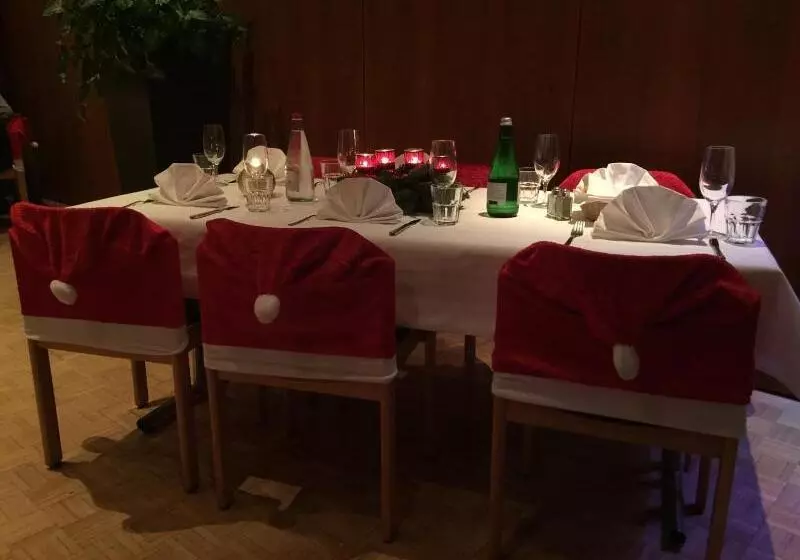 Hotel Zys