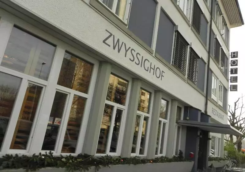 Hotel Zys