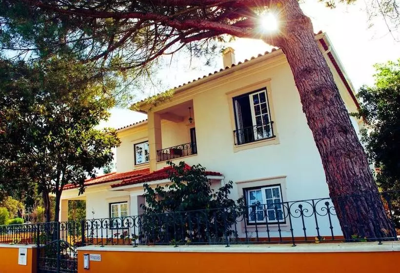 Magnolia B&b
