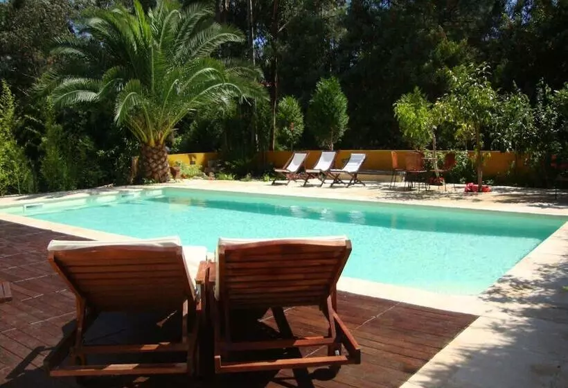 Magnolia B&b