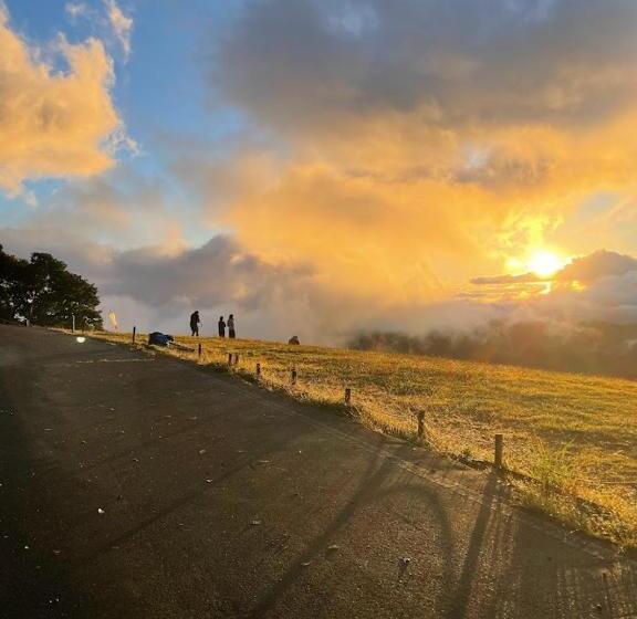 הוסטל 北アルプス麓のゲストハウス林屋 203