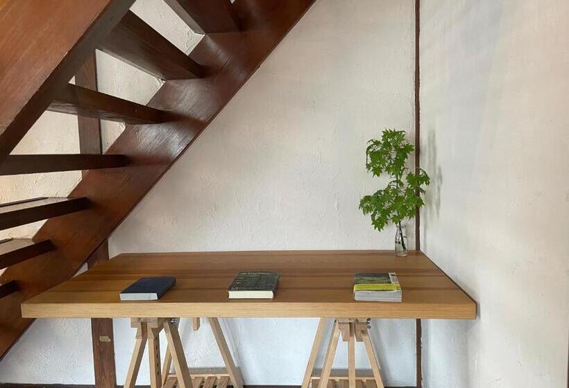 הוסטל 北アルプス麓のゲストハウス林屋 203