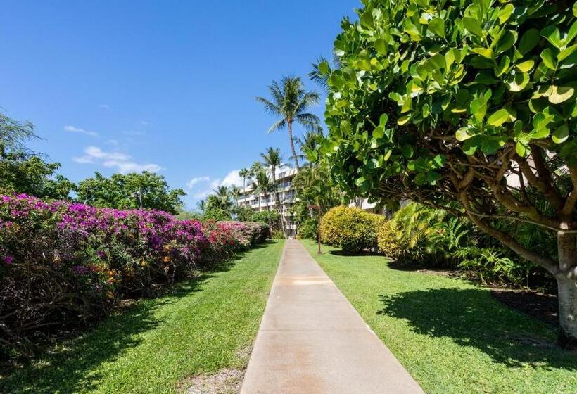 Newly Renovated Studio & Walkable To Beaches, Shops & Dining!