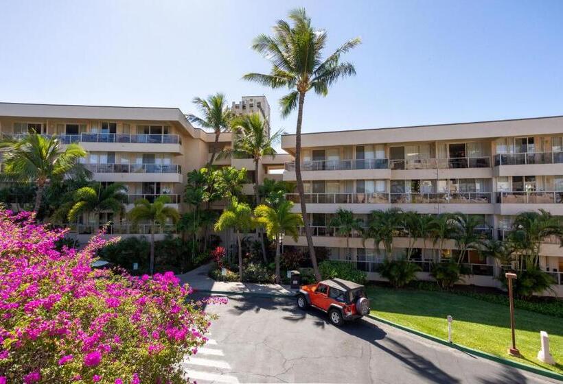 Newly Renovated Studio & Walkable To Beaches, Shops & Dining!