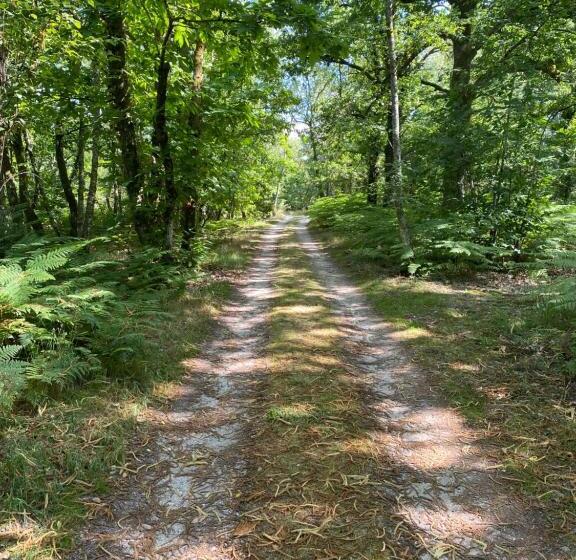 Hotel One Suite  Suite With Private Beach, Natural Swimming Pool & Reserve