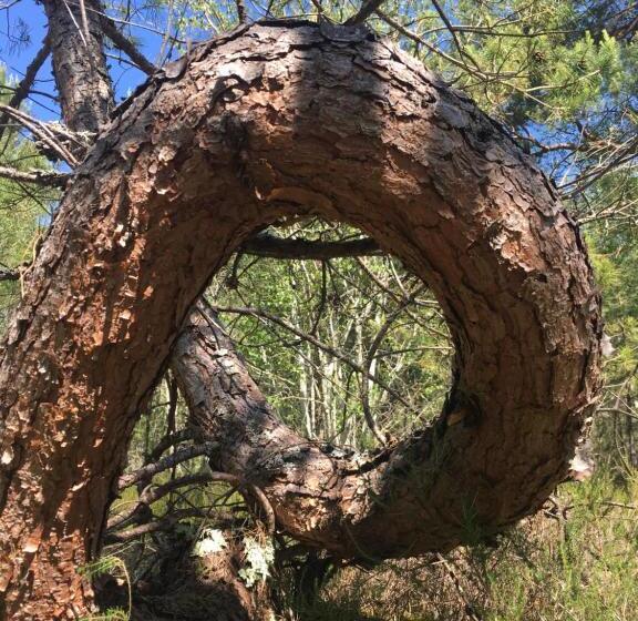 Hotel One Suite  Suite With Private Beach, Natural Swimming Pool & Reserve