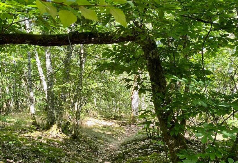 Hotel One Suite  Suite With Private Beach, Natural Swimming Pool & Reserve