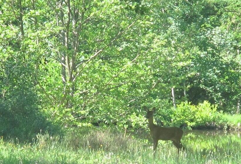 Hotel One Suite  Suite With Private Beach, Natural Swimming Pool & Reserve
