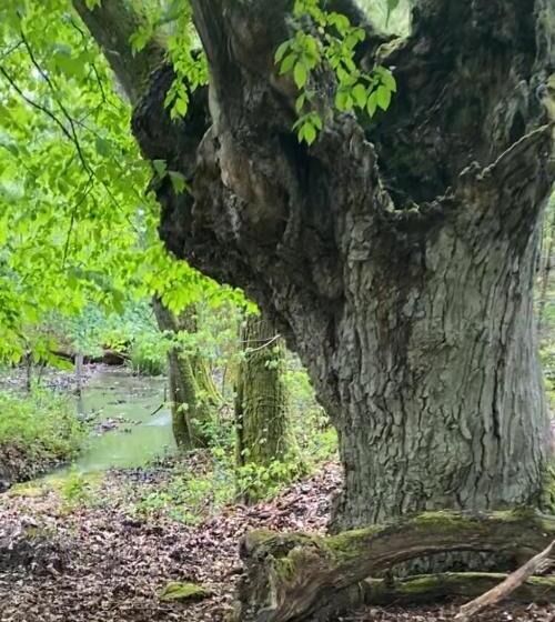 Hotel One Suite  Suite With Private Beach, Natural Swimming Pool & Reserve